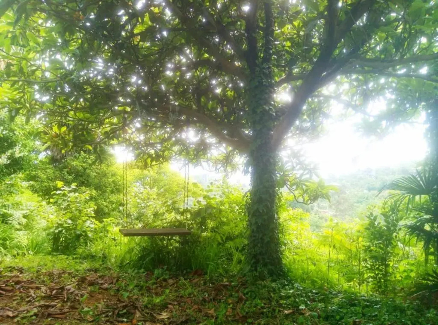 Guesthouse Eco Chakvi