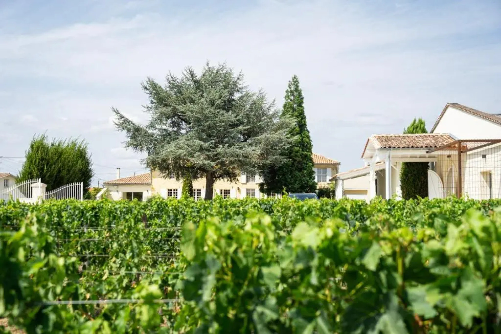 Château Haut-Brisson