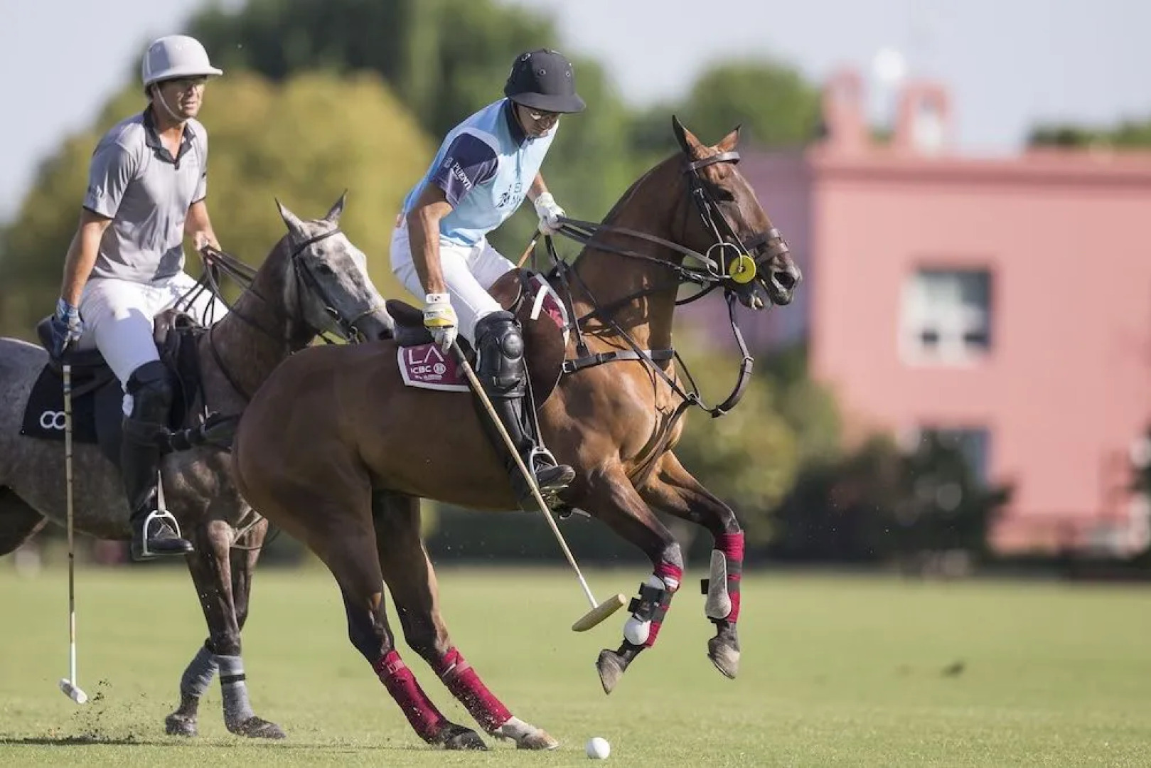 La Aguada Casa de Polo by DON