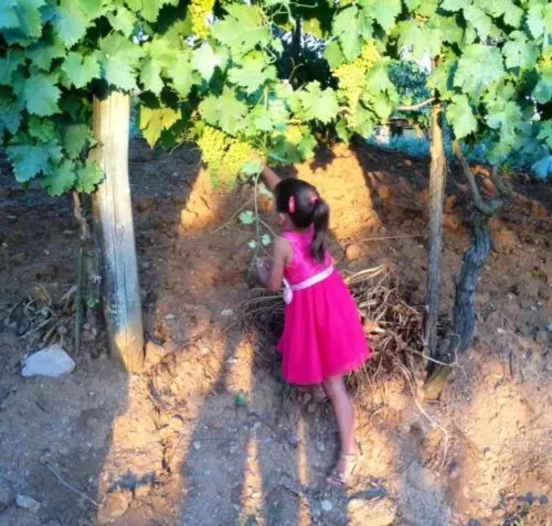 Podere del Buongustaio