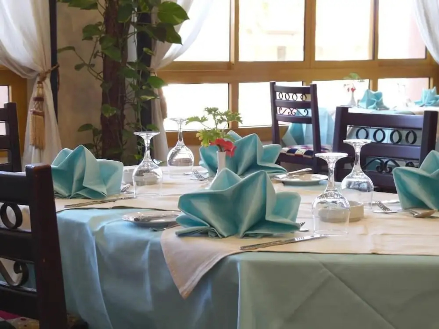 Port said Hotel Misr Travel