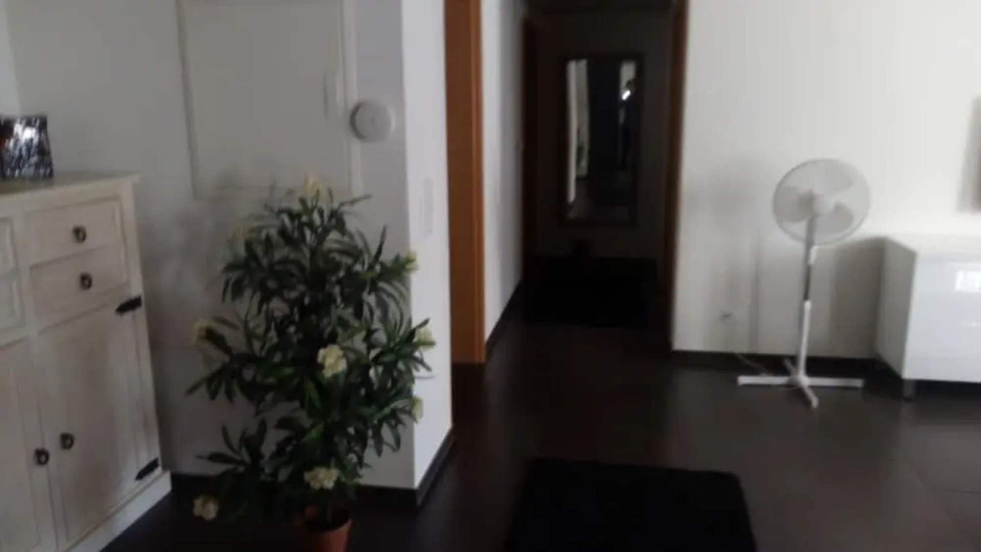 3 Bedroom Apartment at Lake Constance