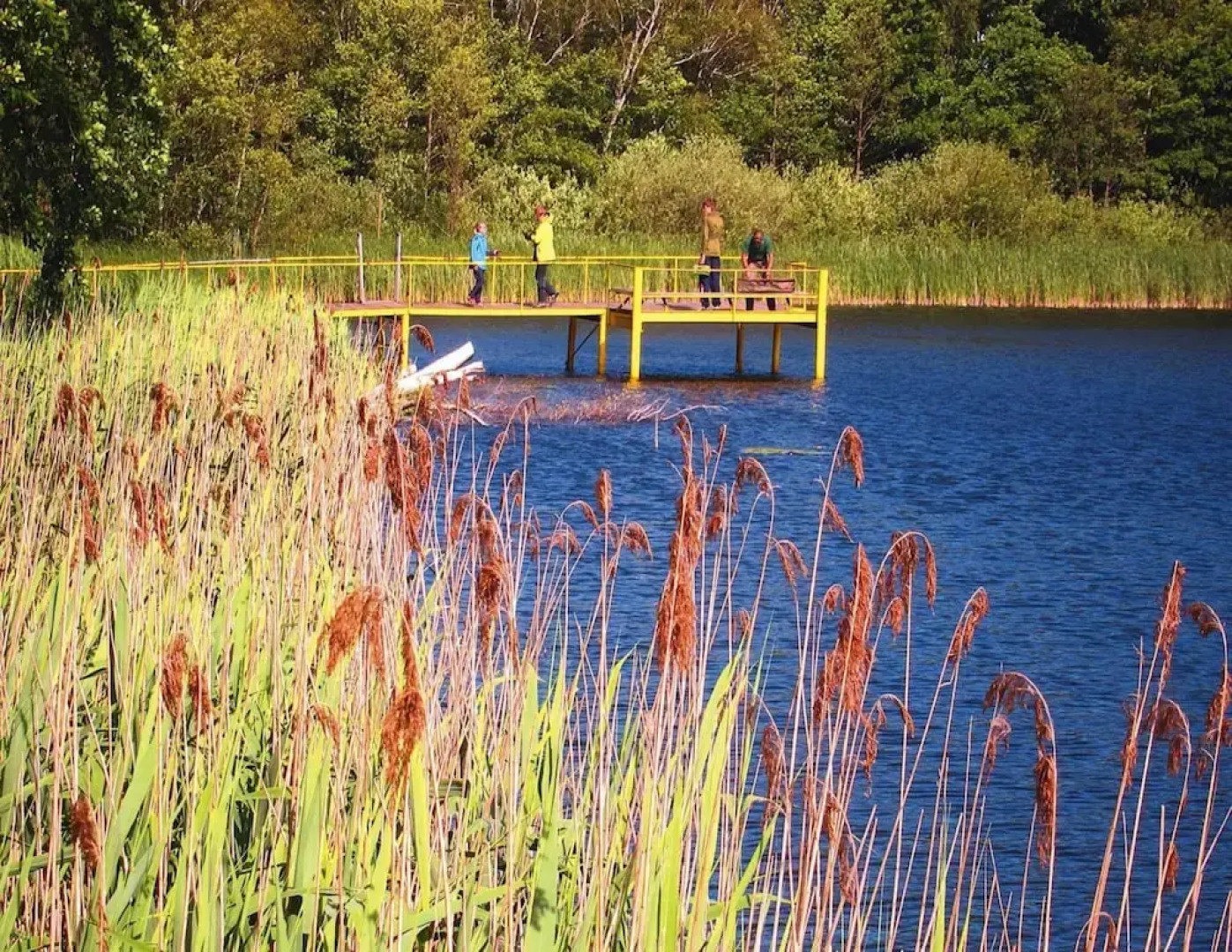 Bungalows am Vordersee, Dobbrikow