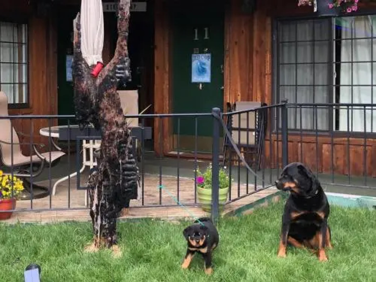 The Woodsman Country Lodge