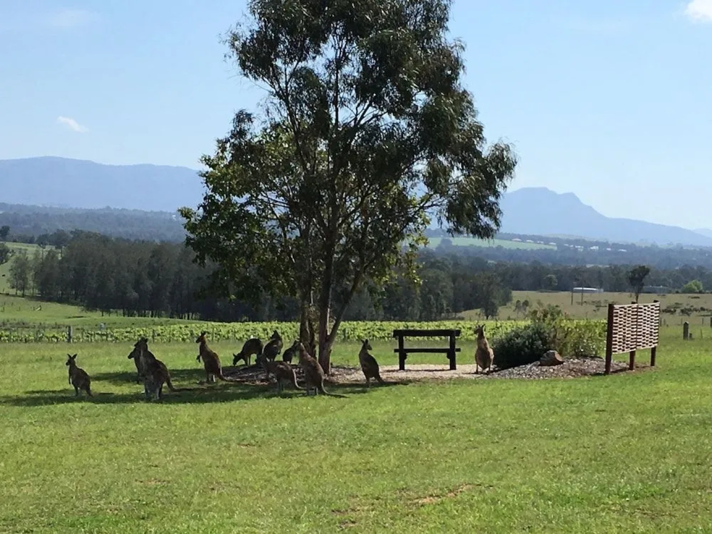 Blackwattle Luxury Retreats