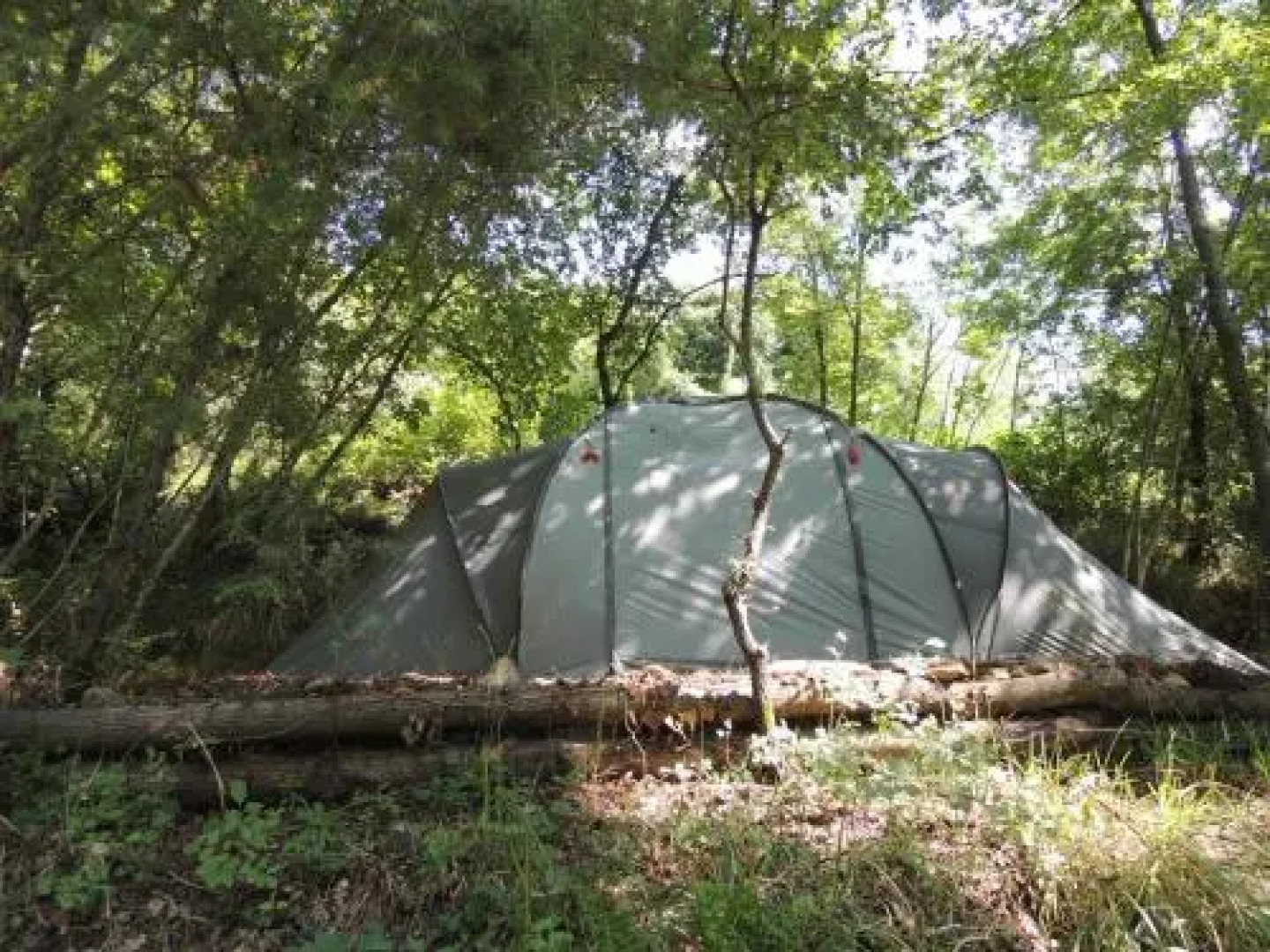 Adrenaline Check Kaki Event Place