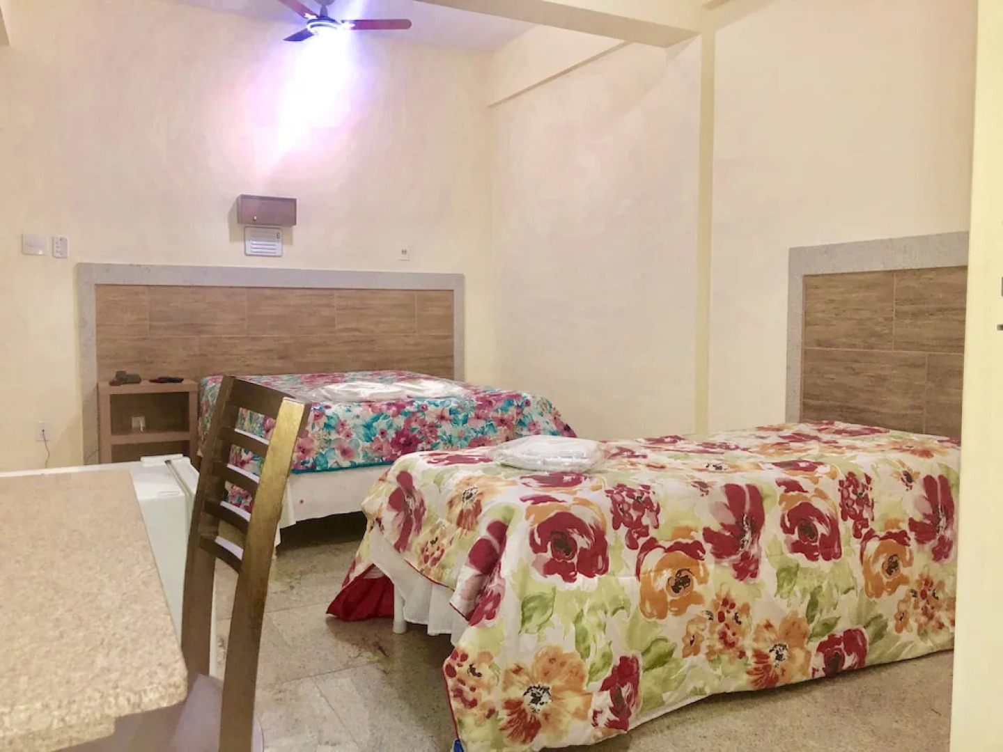 Hotel Alvorada Palace