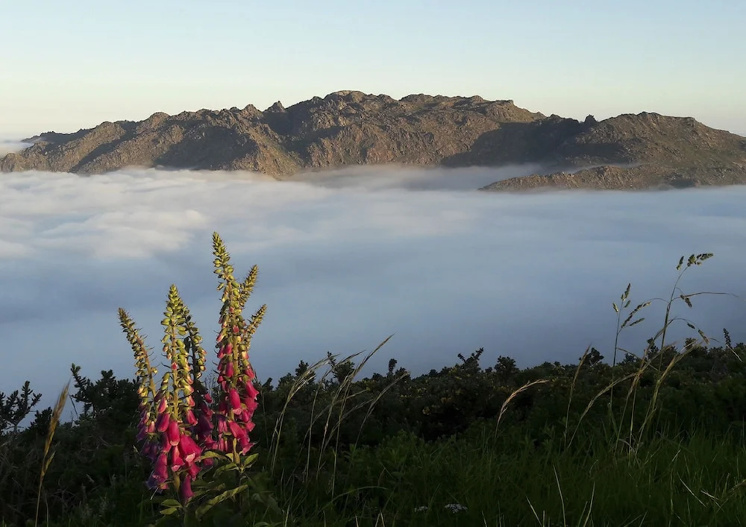 Hospedium Morada da Moa