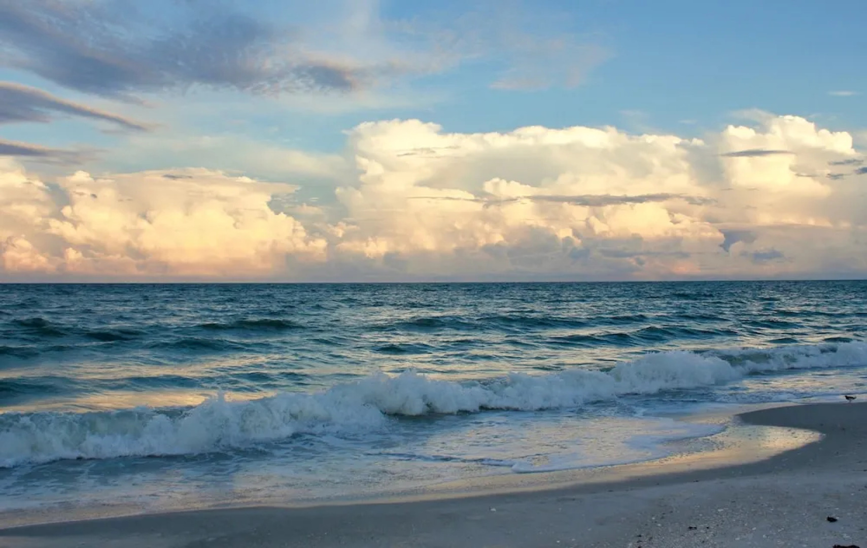 Treasure Island Vacations by TechTravel