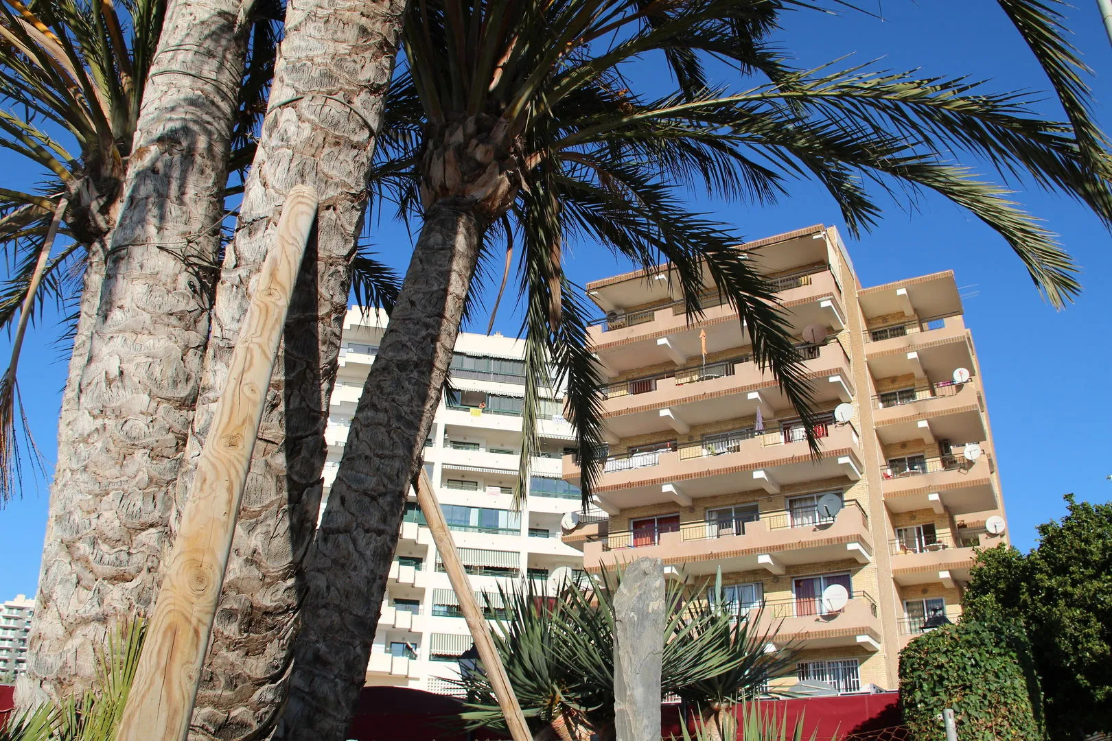 Apartamentos Odysea By Mc