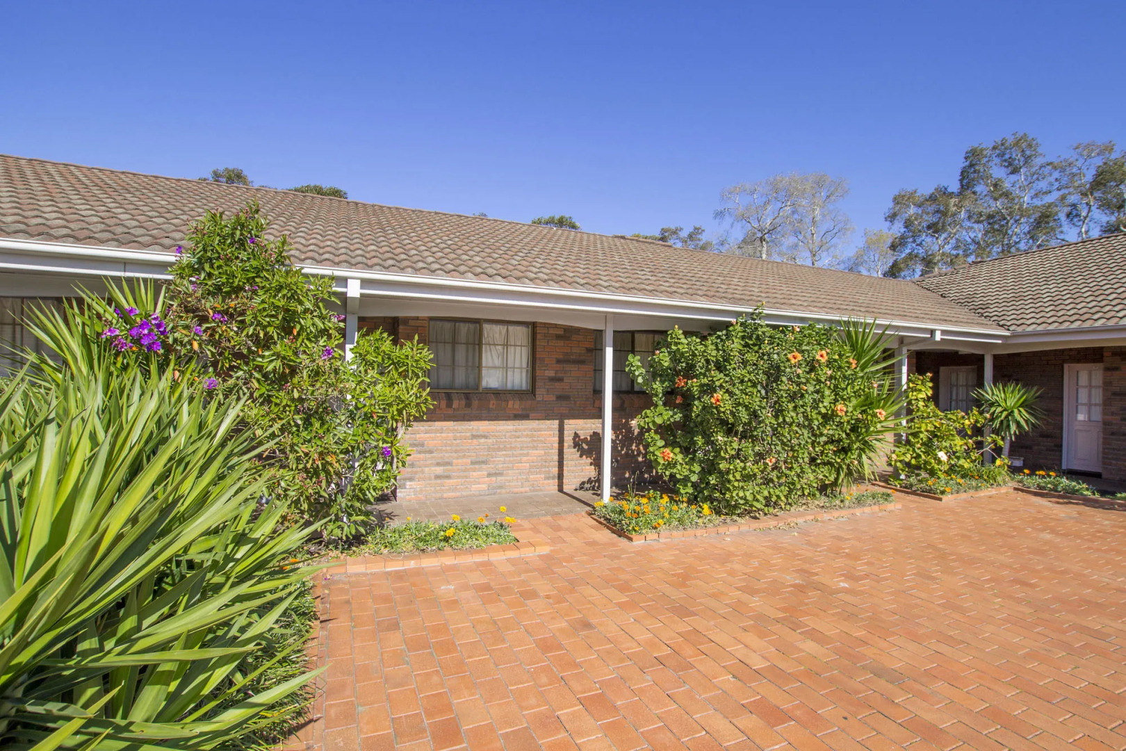 Island Palms Motor Inn