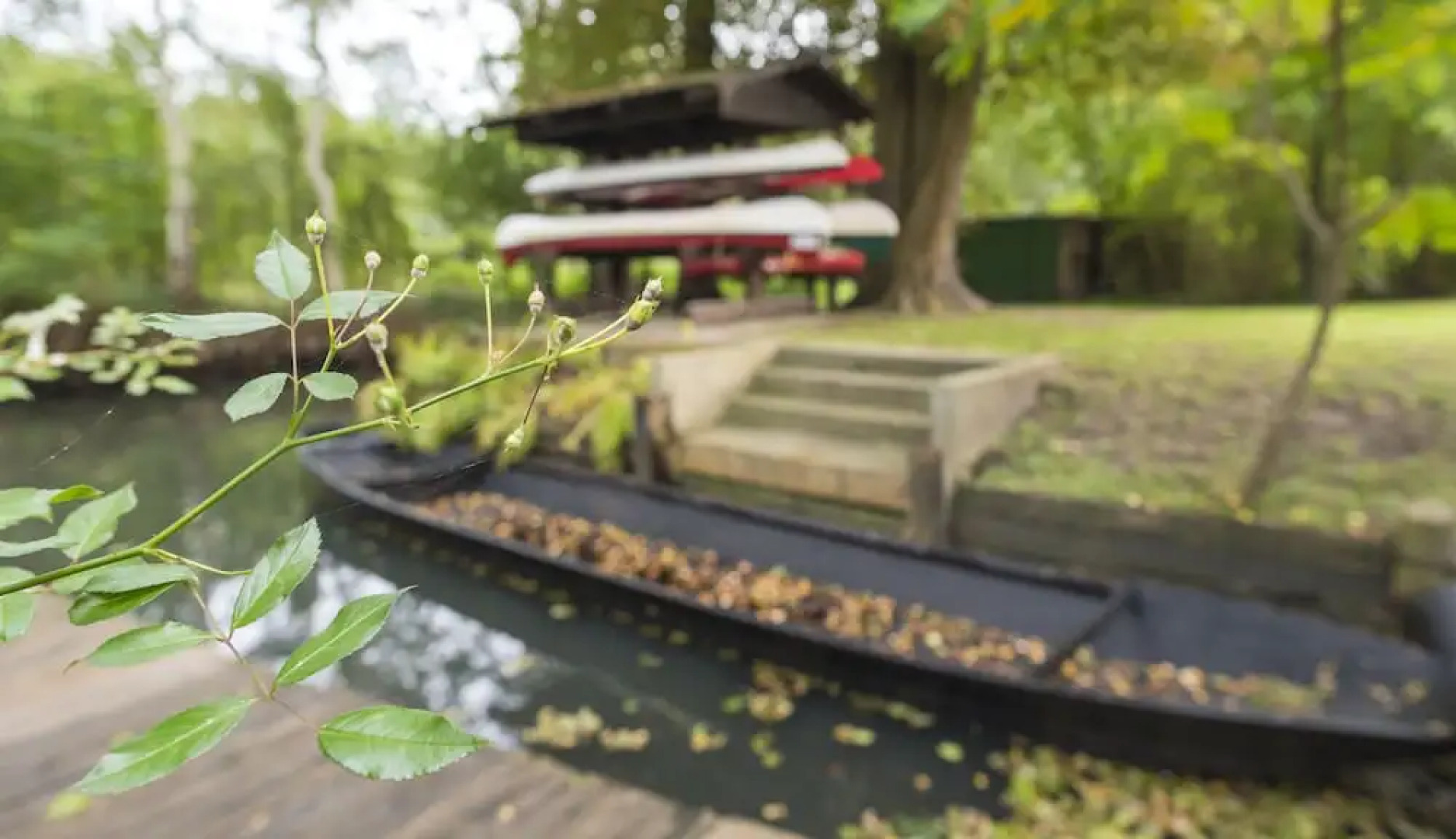 Ferienidyll 'An der Großen Wildbahn'