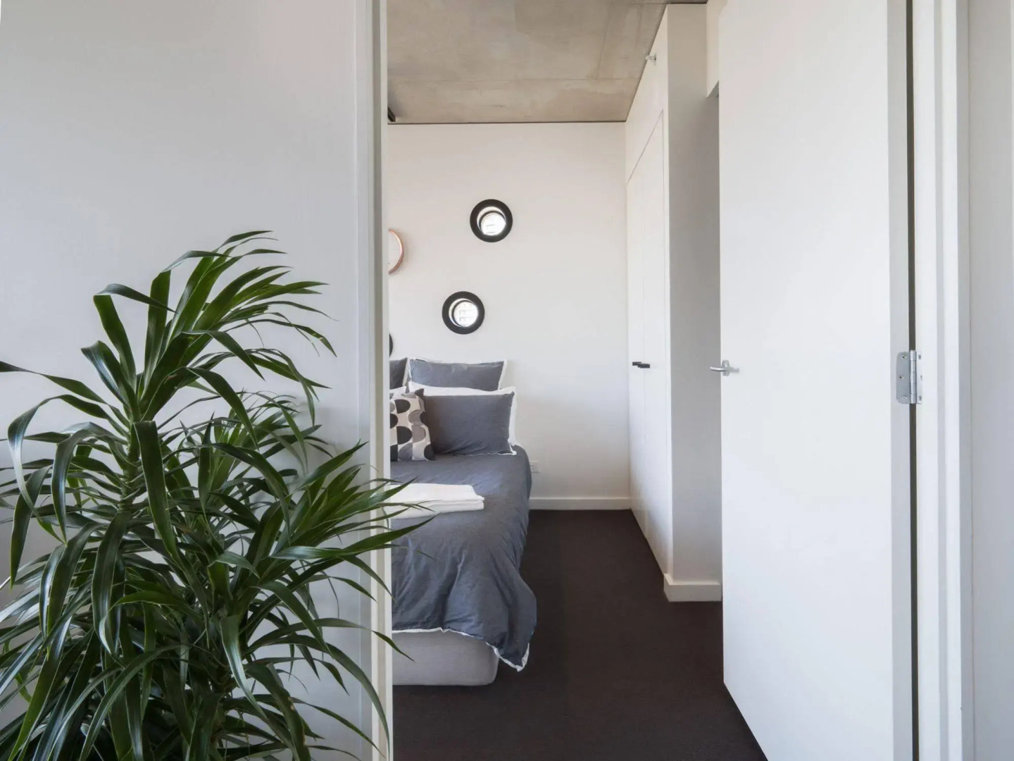 LittleStay Collection - Sturt