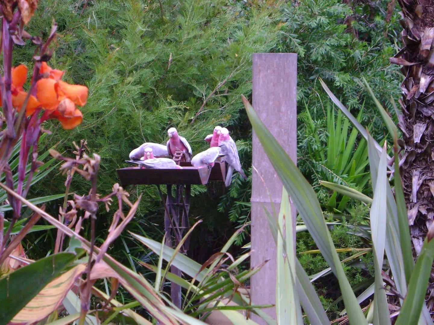 Seas the Day Bed & Breakfast