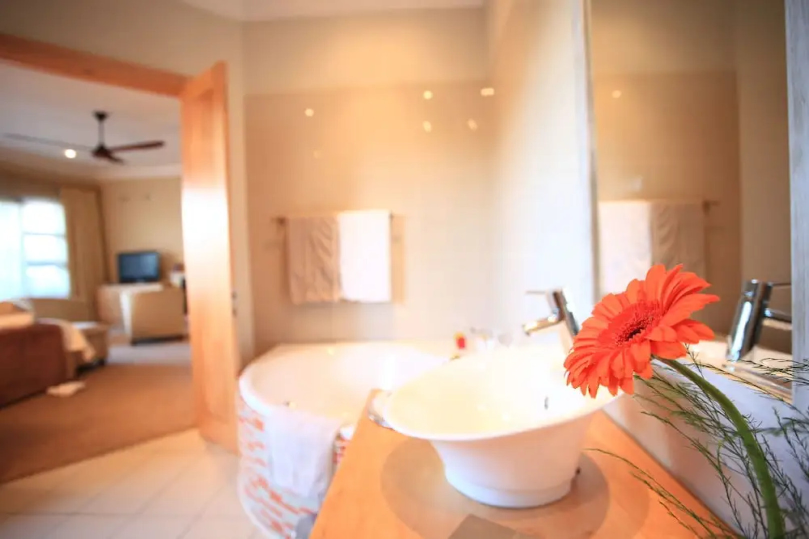 Schneider's Boutique Hotel Guesthouse