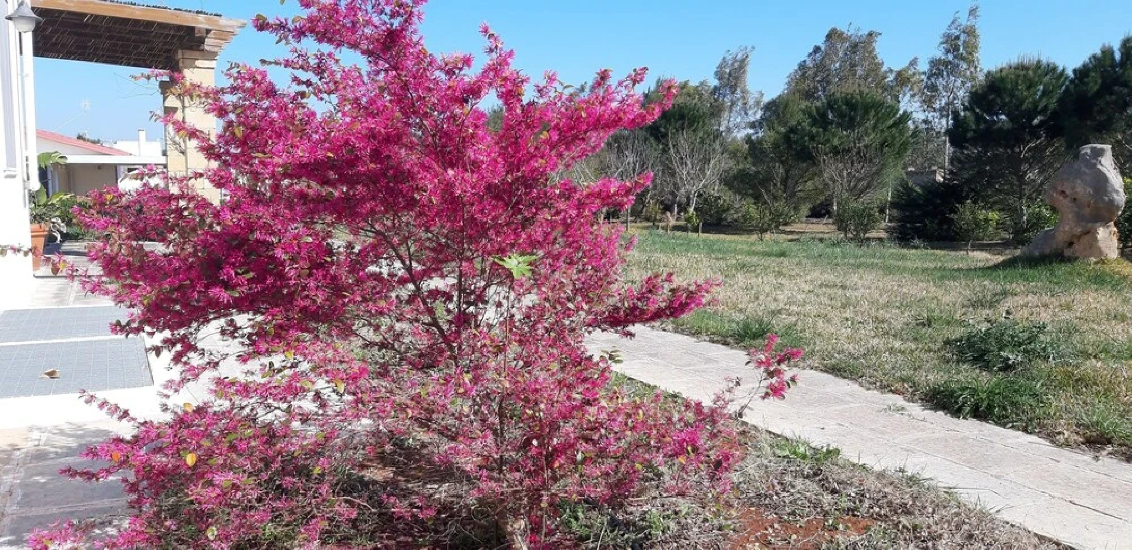 Agriturismo Casale Contenti