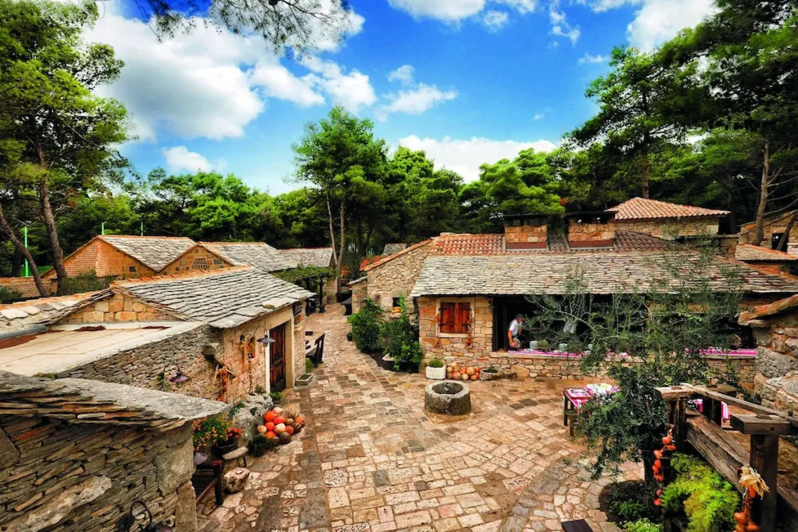 Dalmatian Star Homes