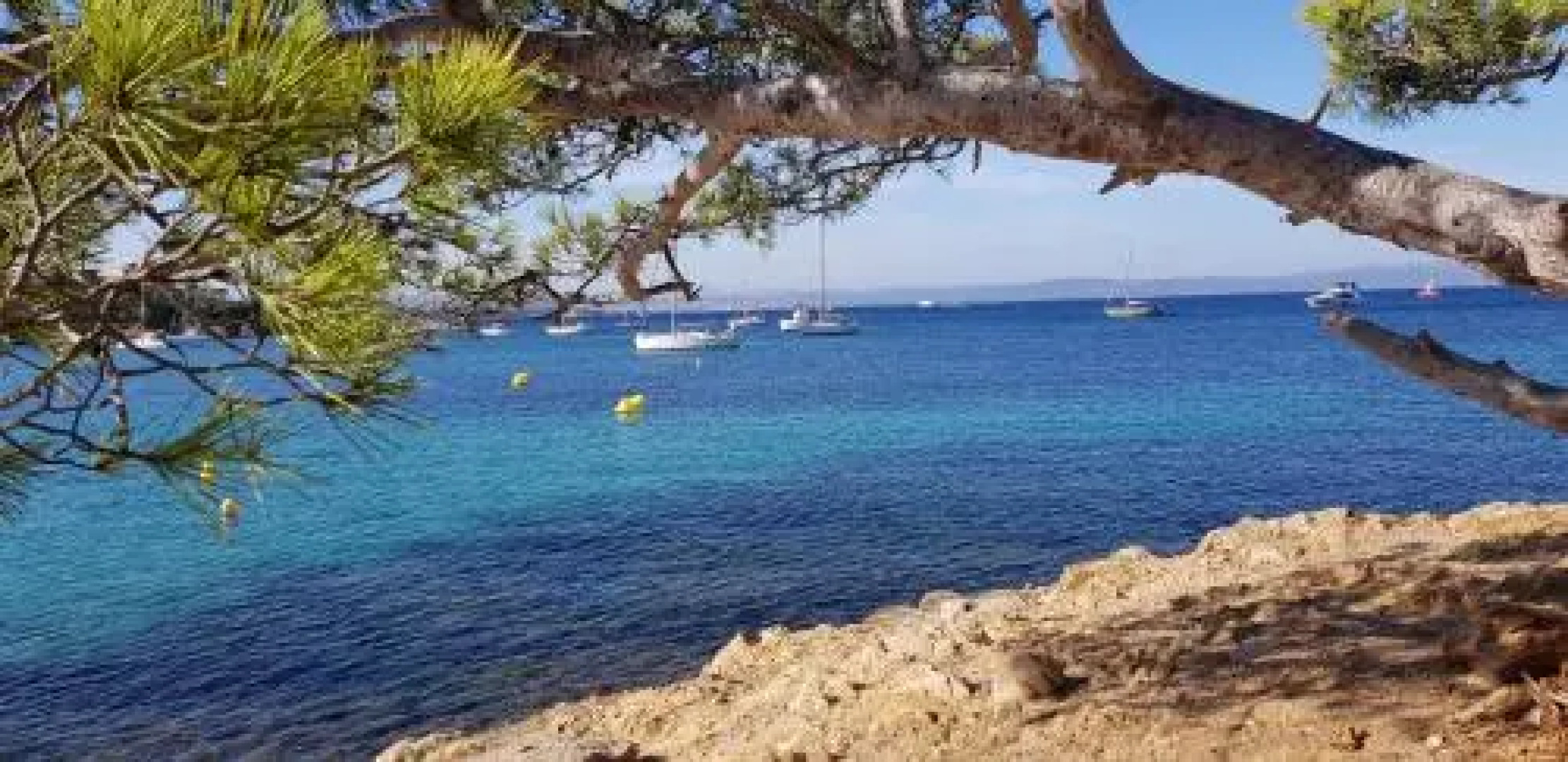 " Au Morgan de vous "