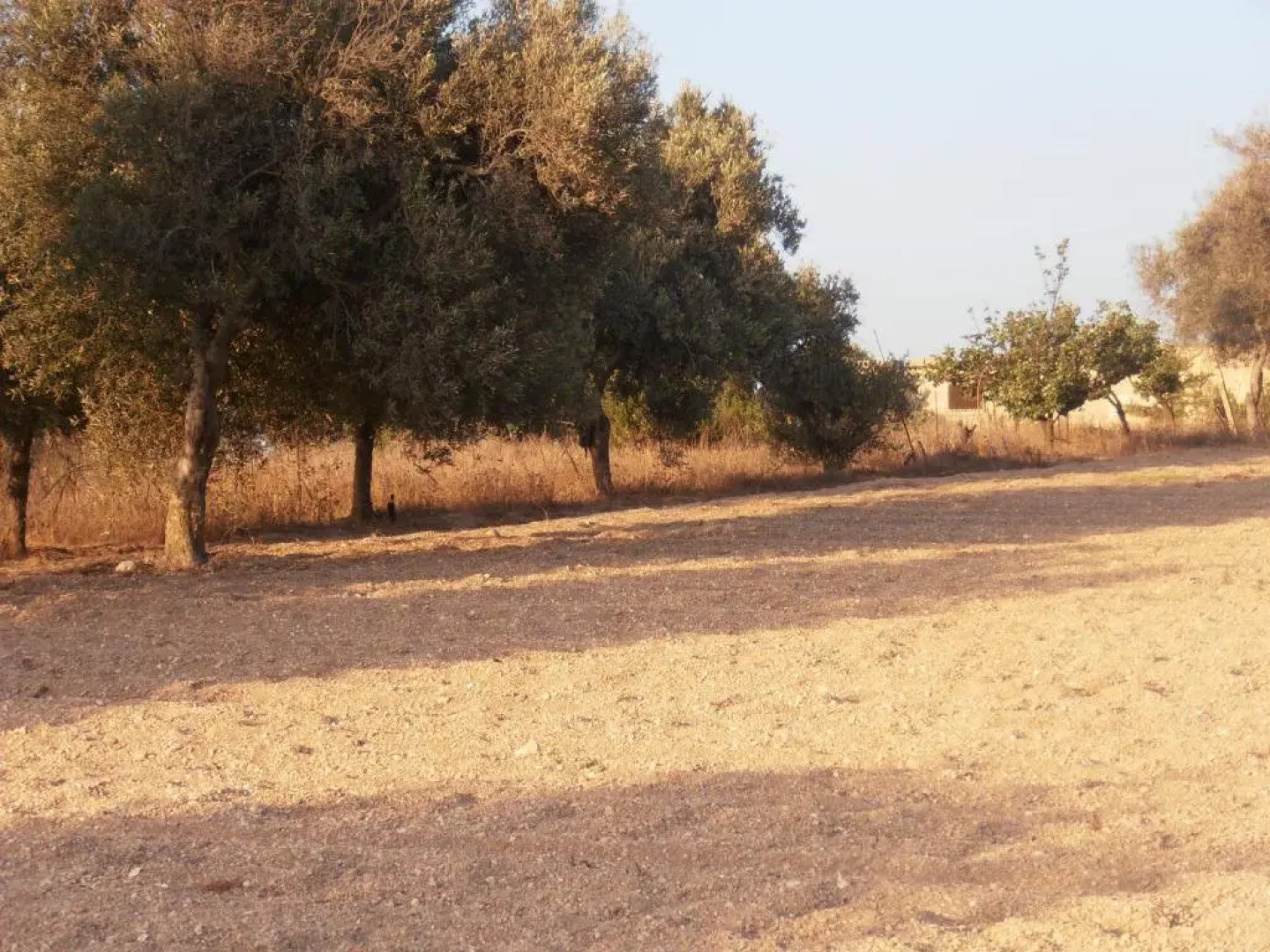 Blanco's home & Glamping