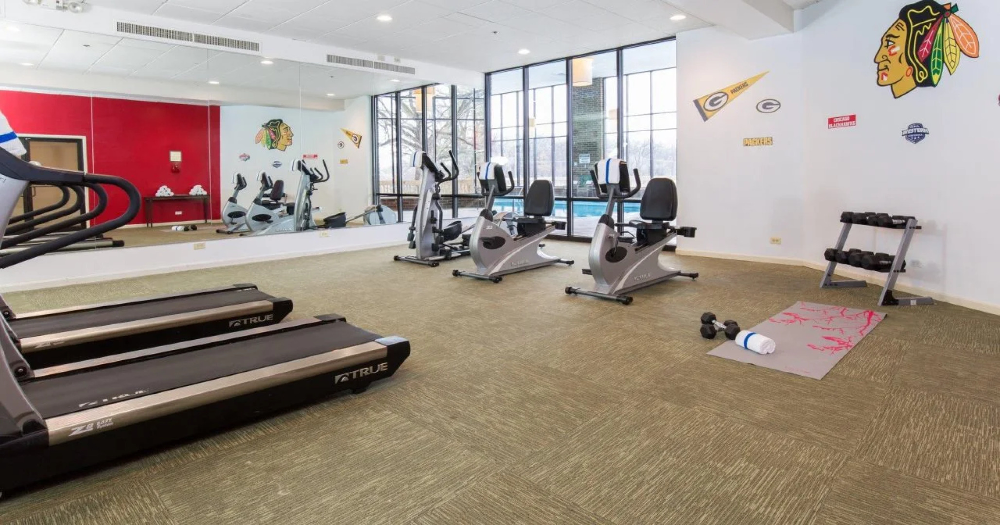 Holiday Inn Chicago Nw Crystal Lk Conv Ctr by IHG