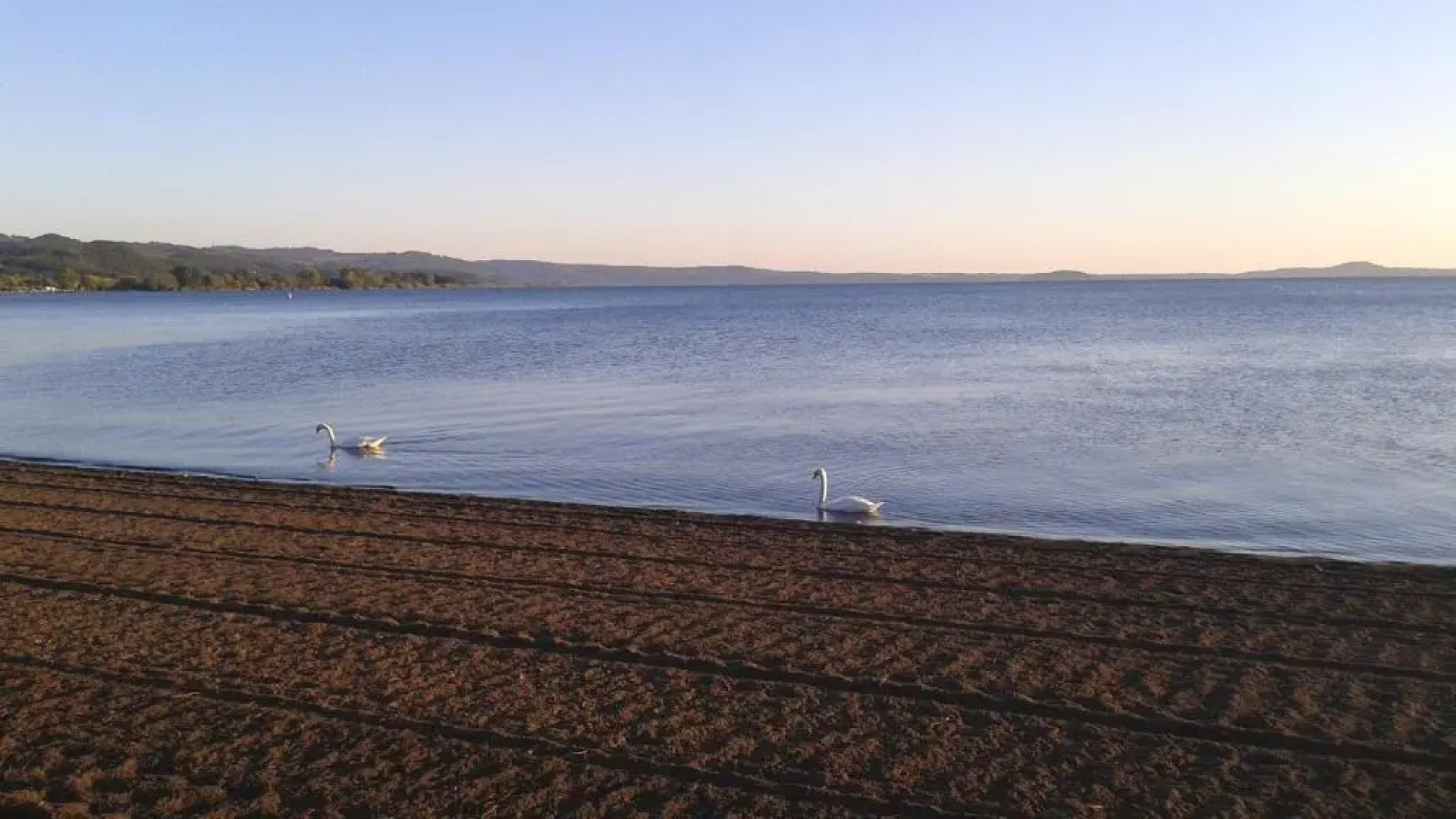 Giardini del Lago / Maris