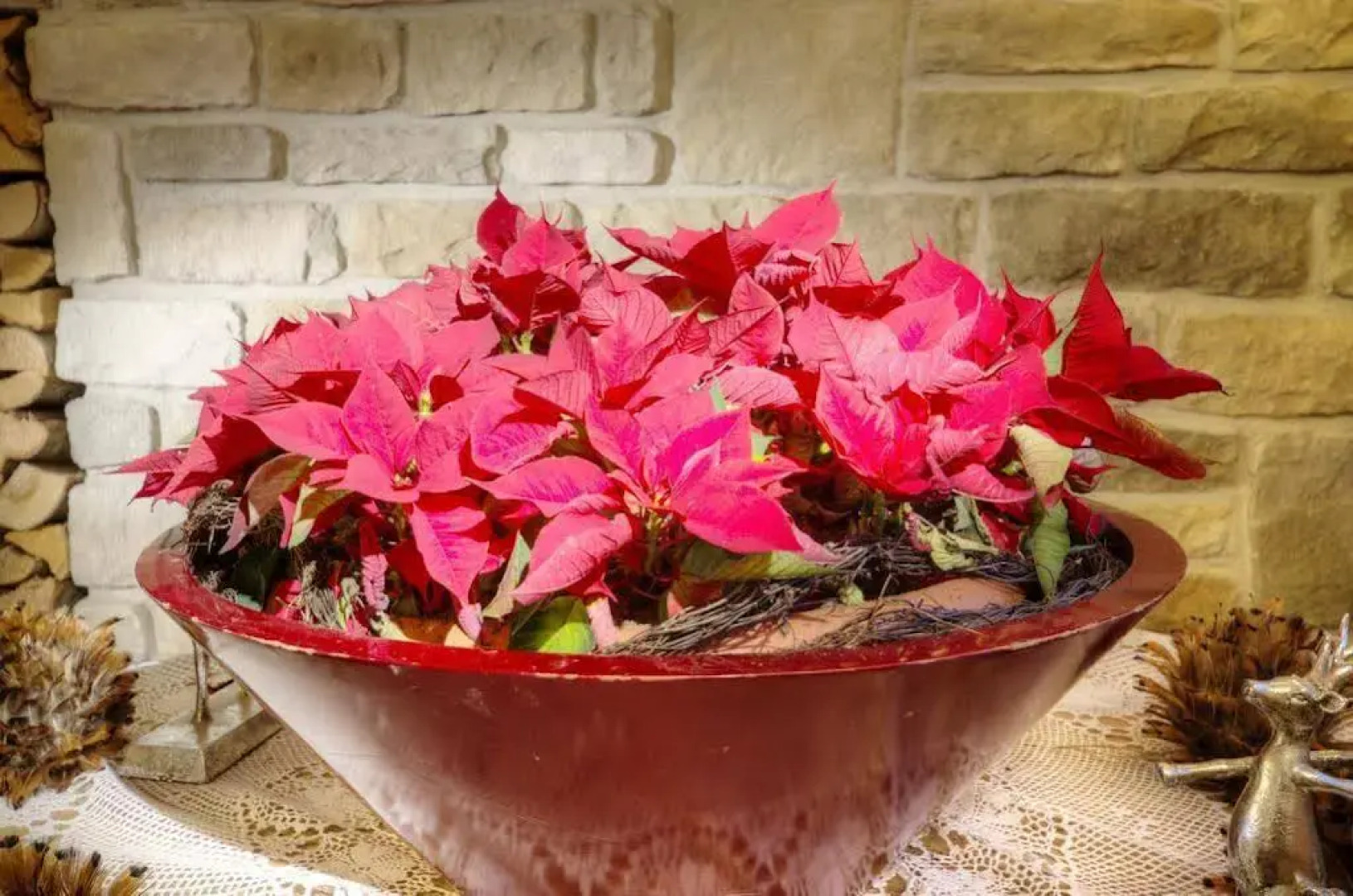 Ski & Bike Hotel Wiesenegg