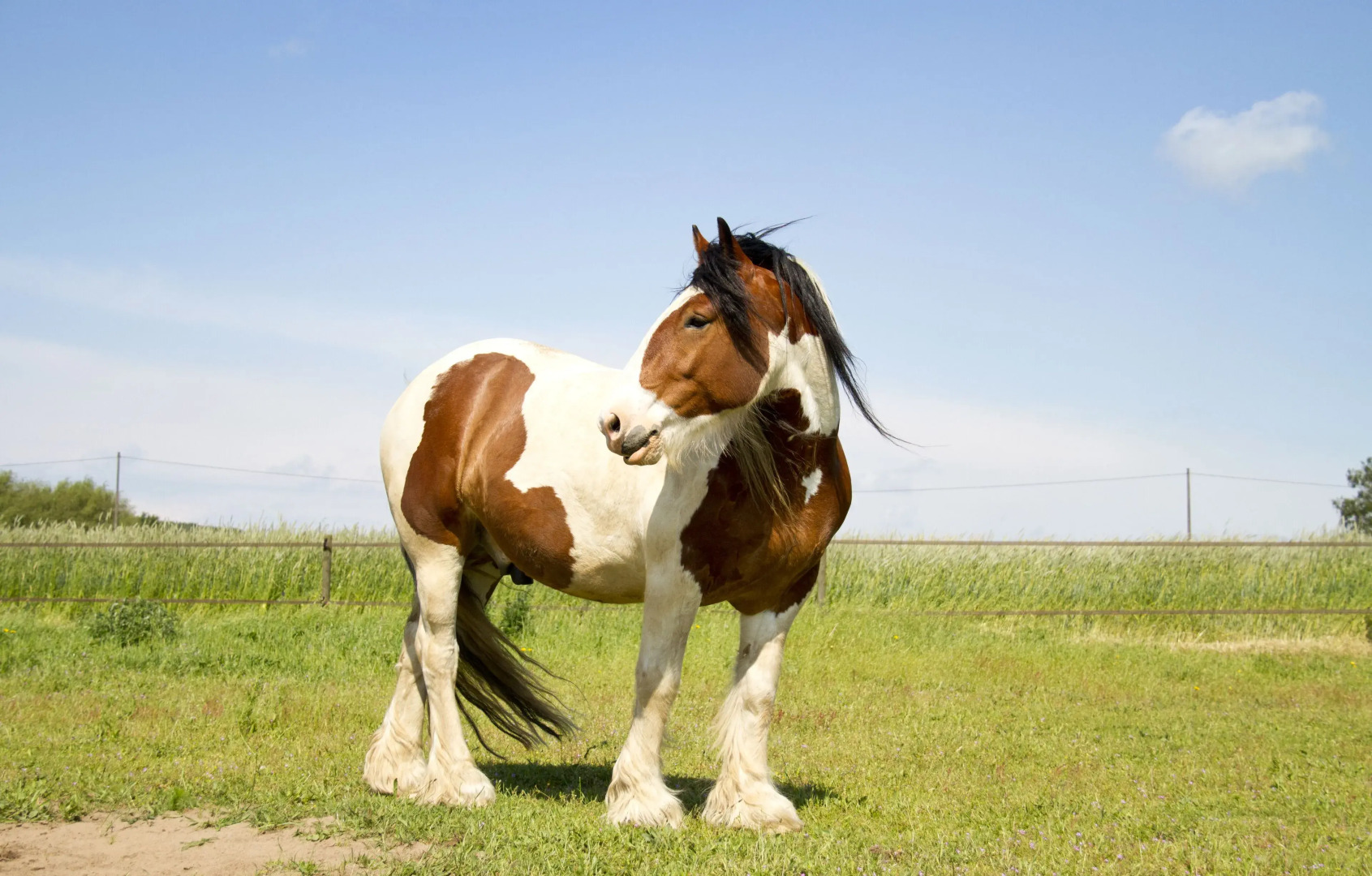 Granelund Bed & Country Living