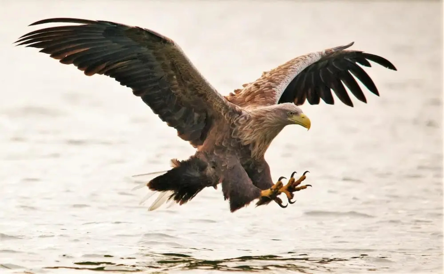 Hotel Altes Zollhaus