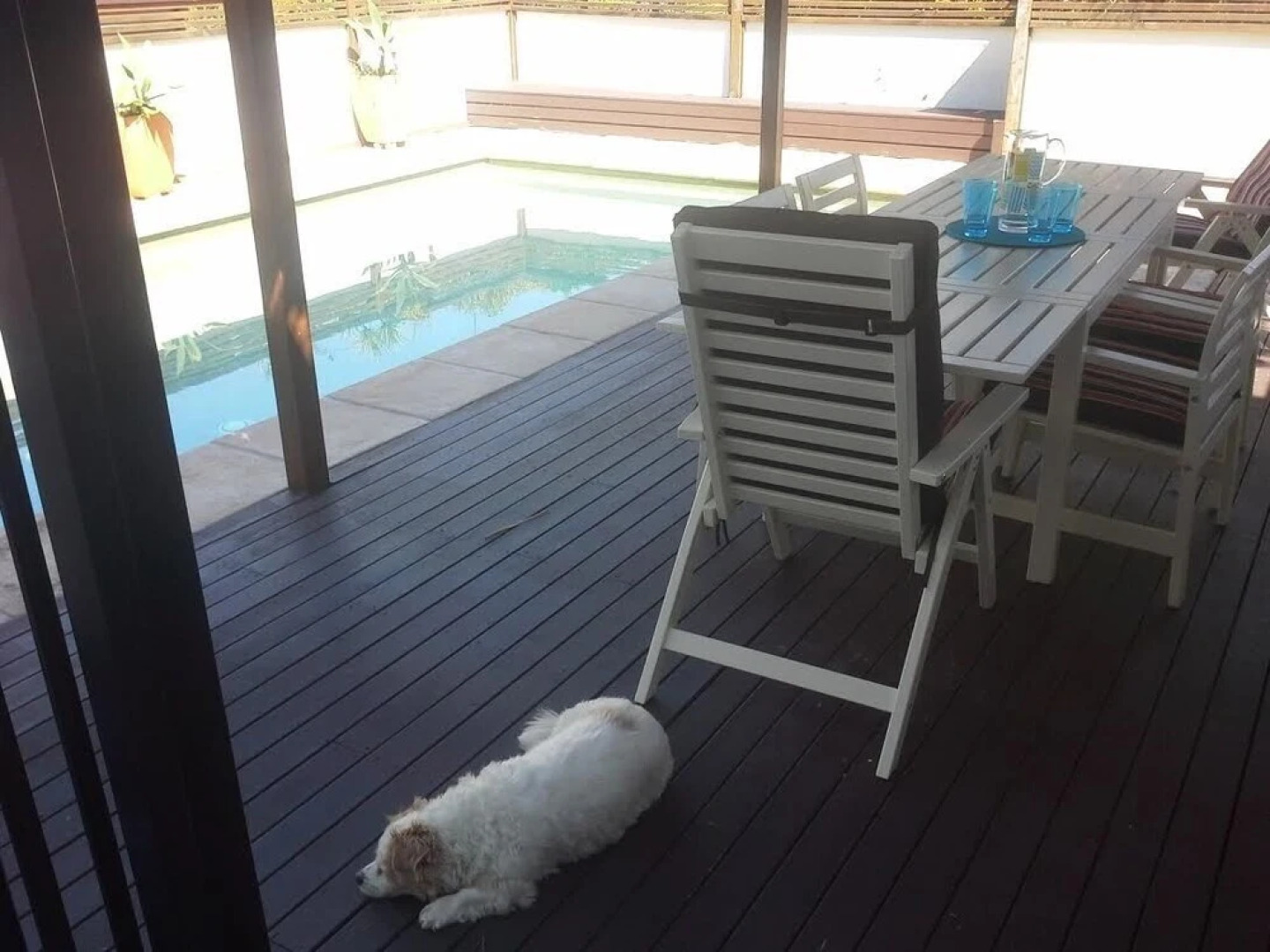 Minutes Walk to Peregian Beach and Surf! - Unit 1/28 Pelican Street