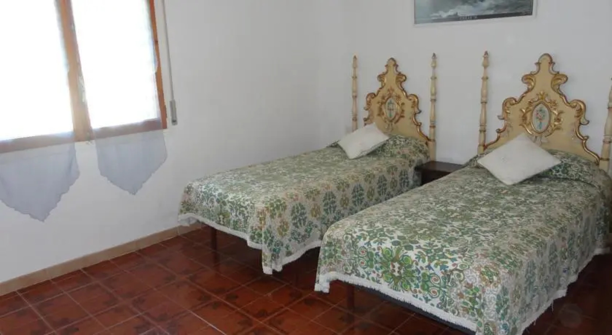 Anforas Mar Sorpresa