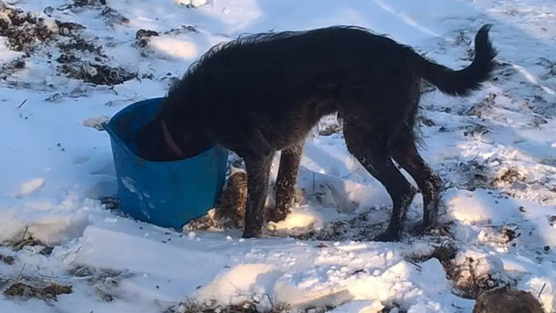 Wydemeet Bed and Breakfast