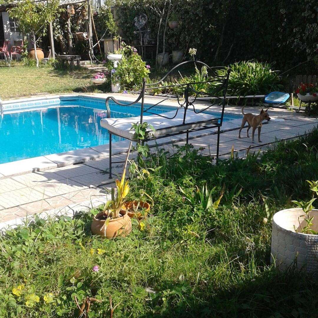 House With one Bedroom in Nazaré, With Pool Access, Furnished Garden a