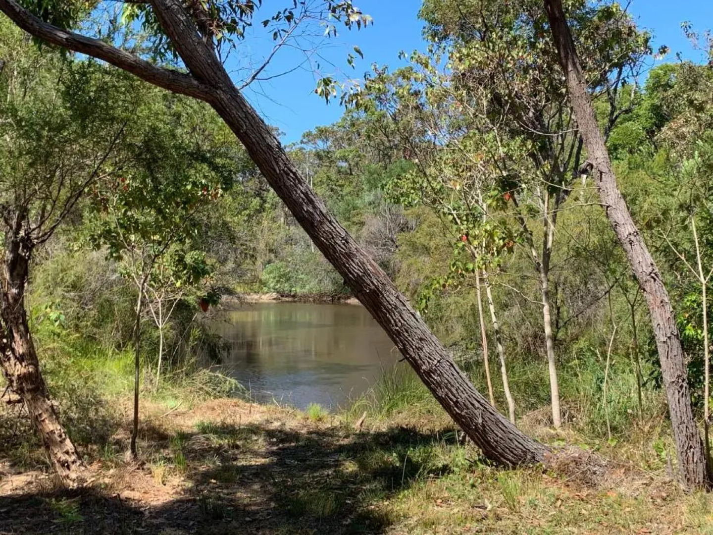 Denmark Forest Retreat