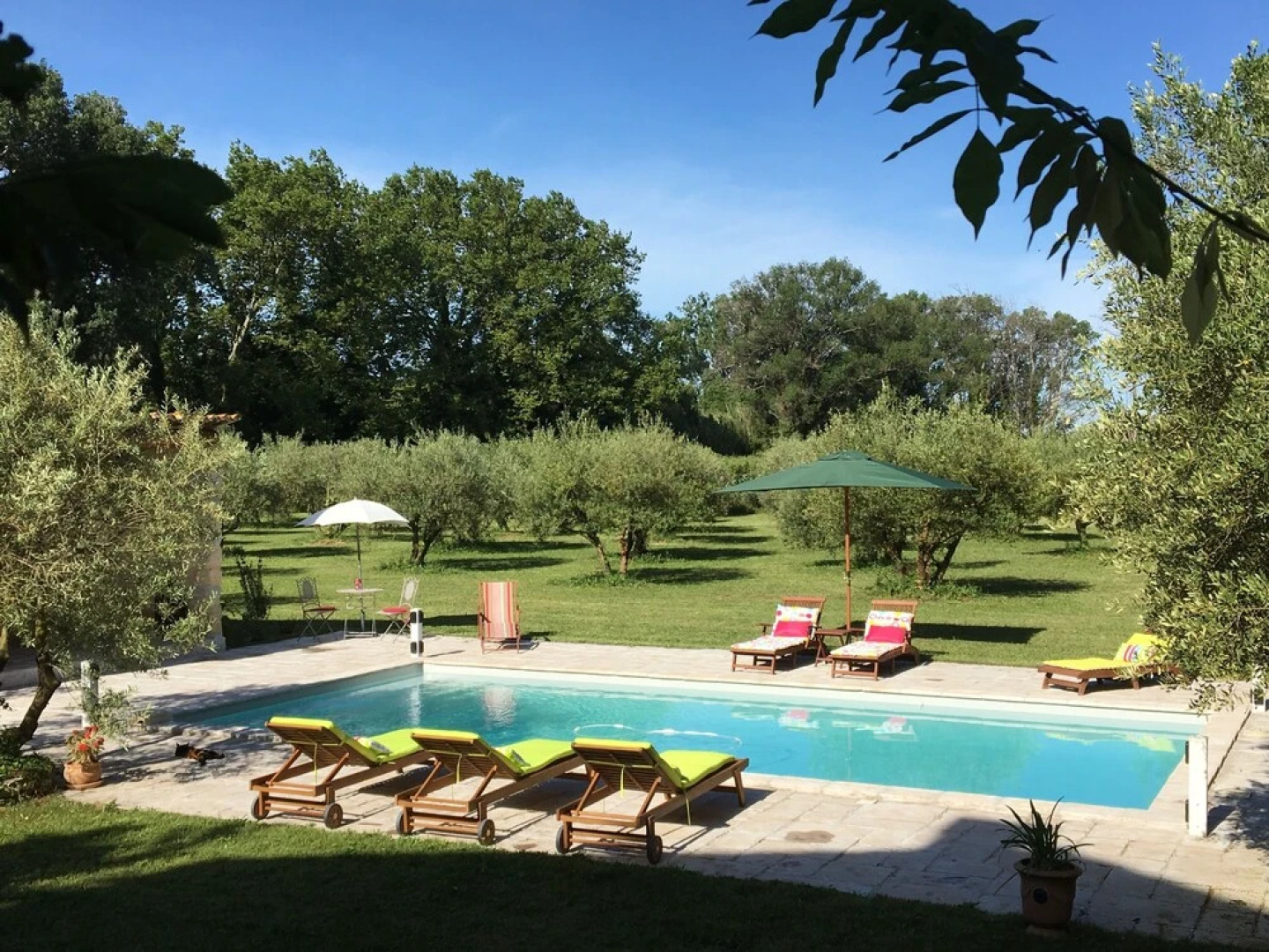 Le mas de l'Oleandre