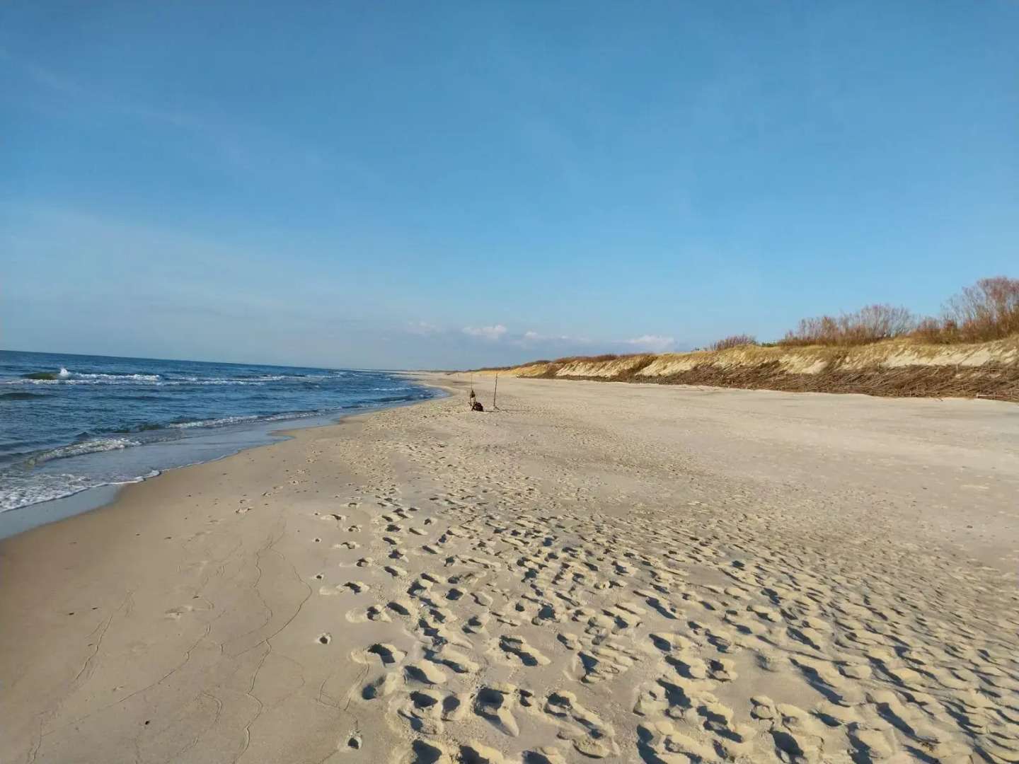 Отдых на Куршской косе