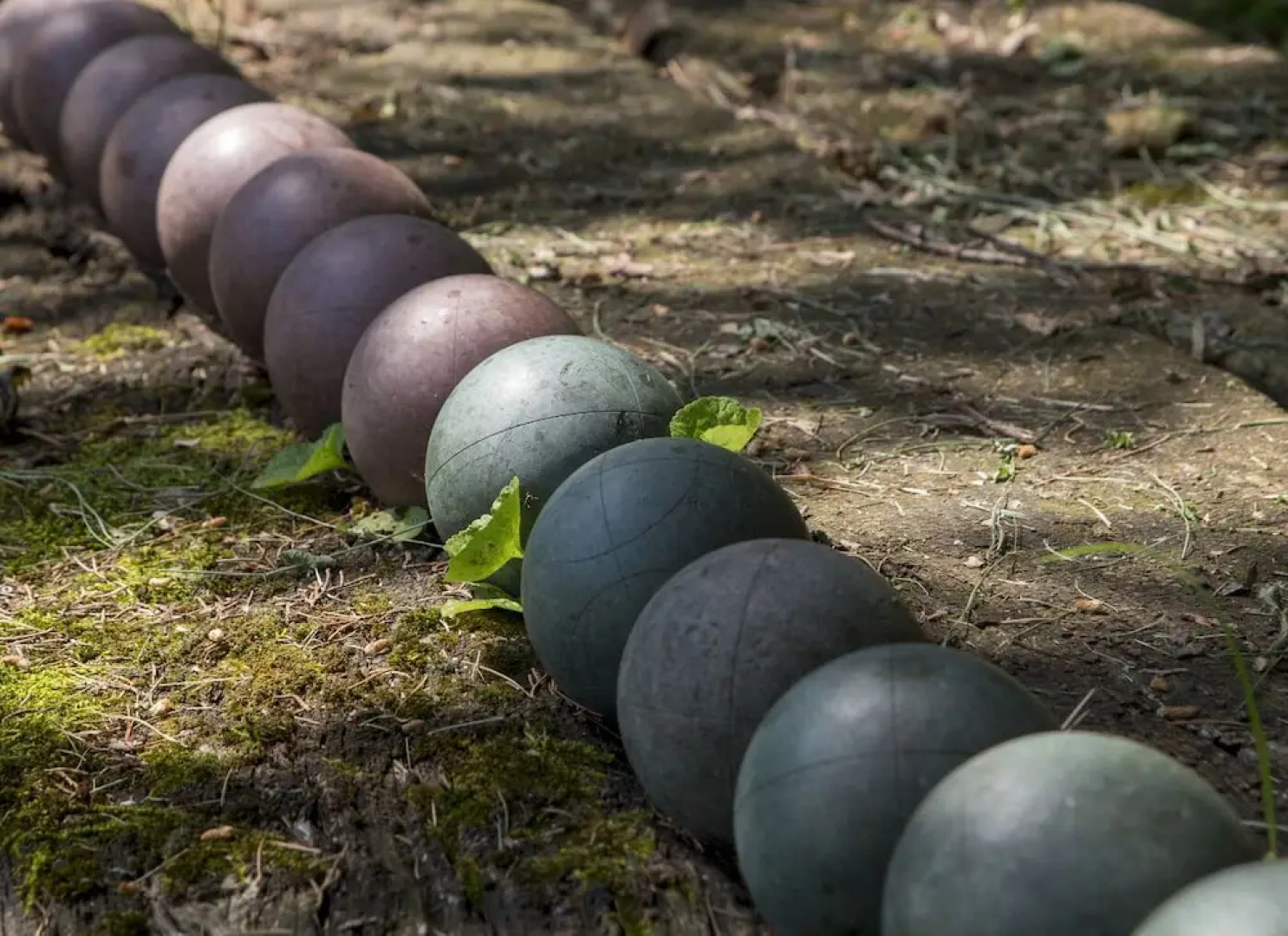 Agriturismo Biologico La Tana del Lele