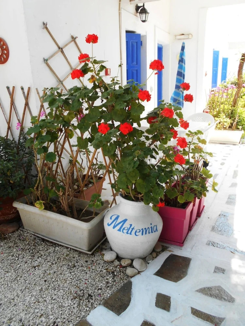Meltemia Studio Samos With Pool