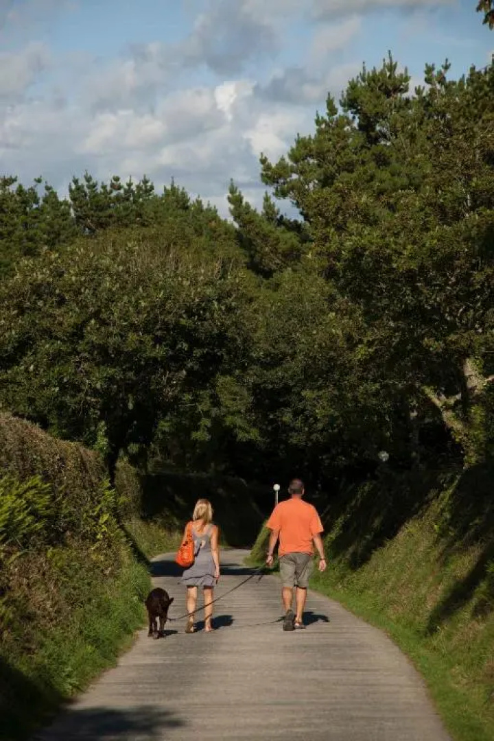 Wooda Farm Holidays
