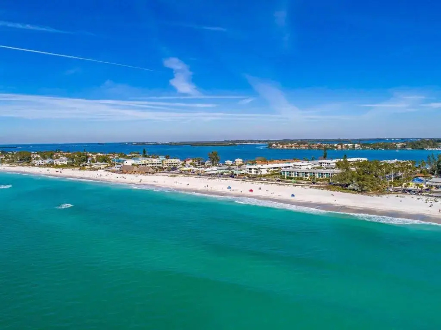 Anna Maria Island Beach Palms 7A