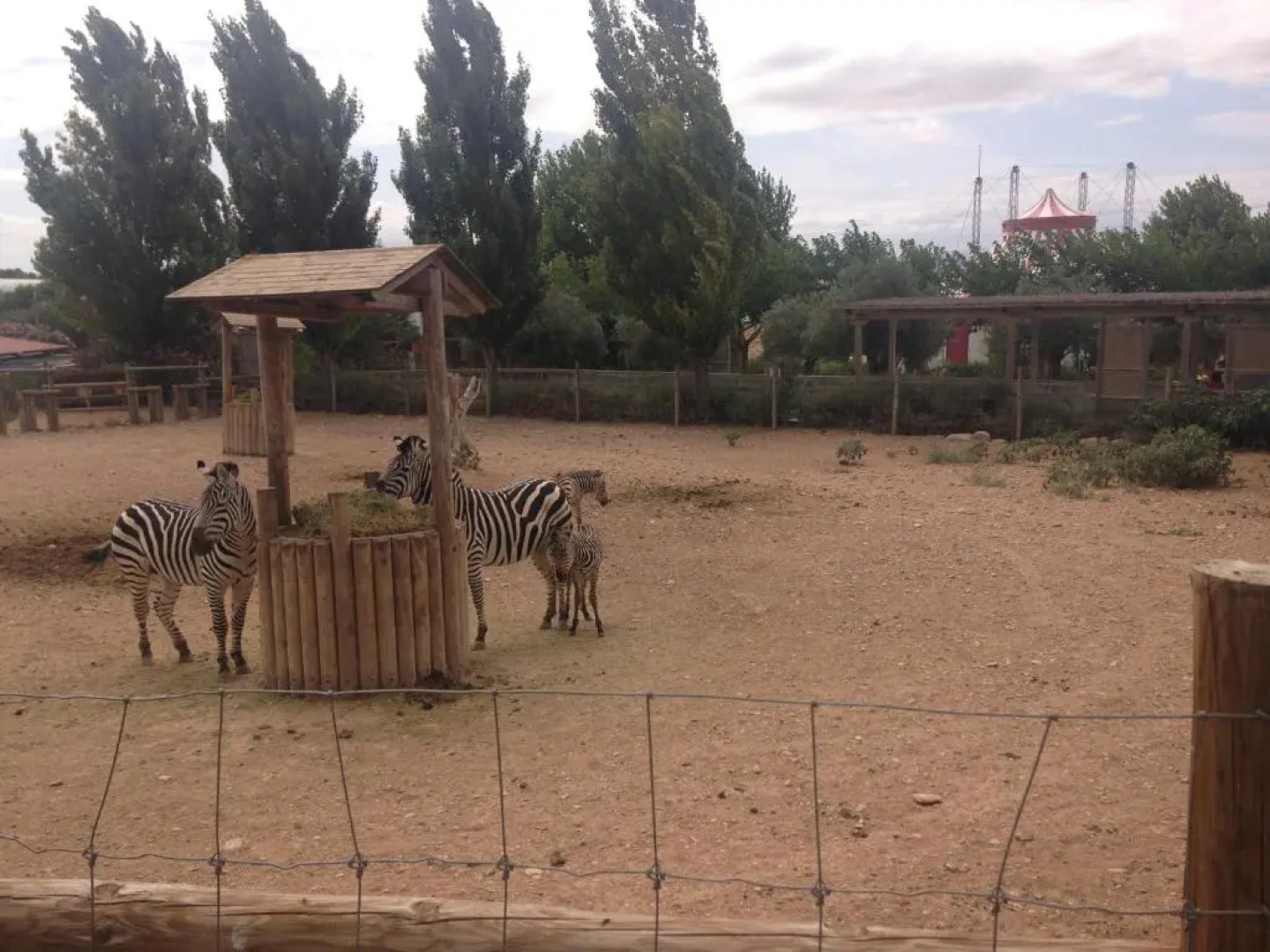 Apartamento Turistico Cigüeña de Arguedas