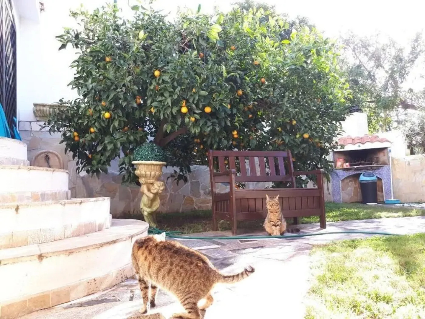 B&B Capo Altano