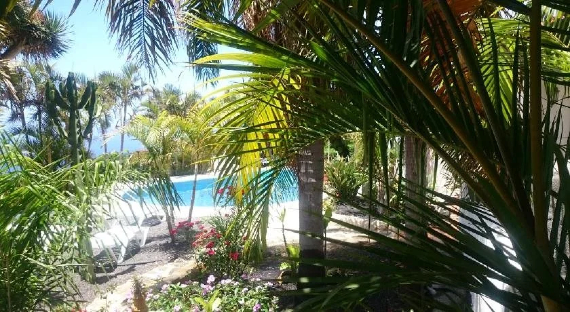 Apartamentos y Bungalows Finca Colón