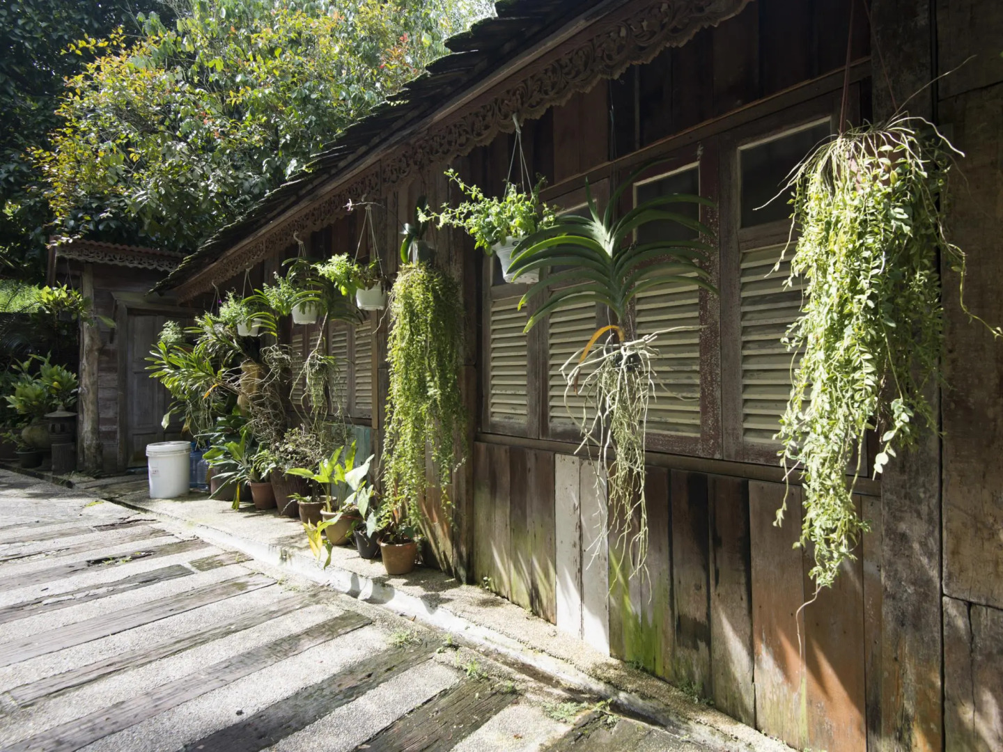 Fig Tree Hill Resort