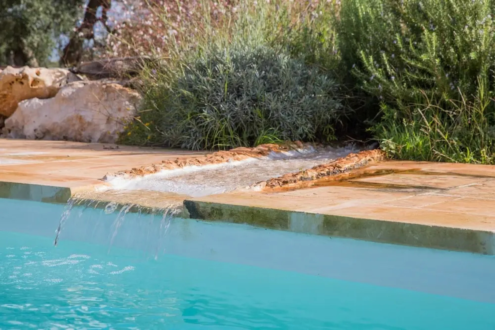 Azienda Agricola Spirdo