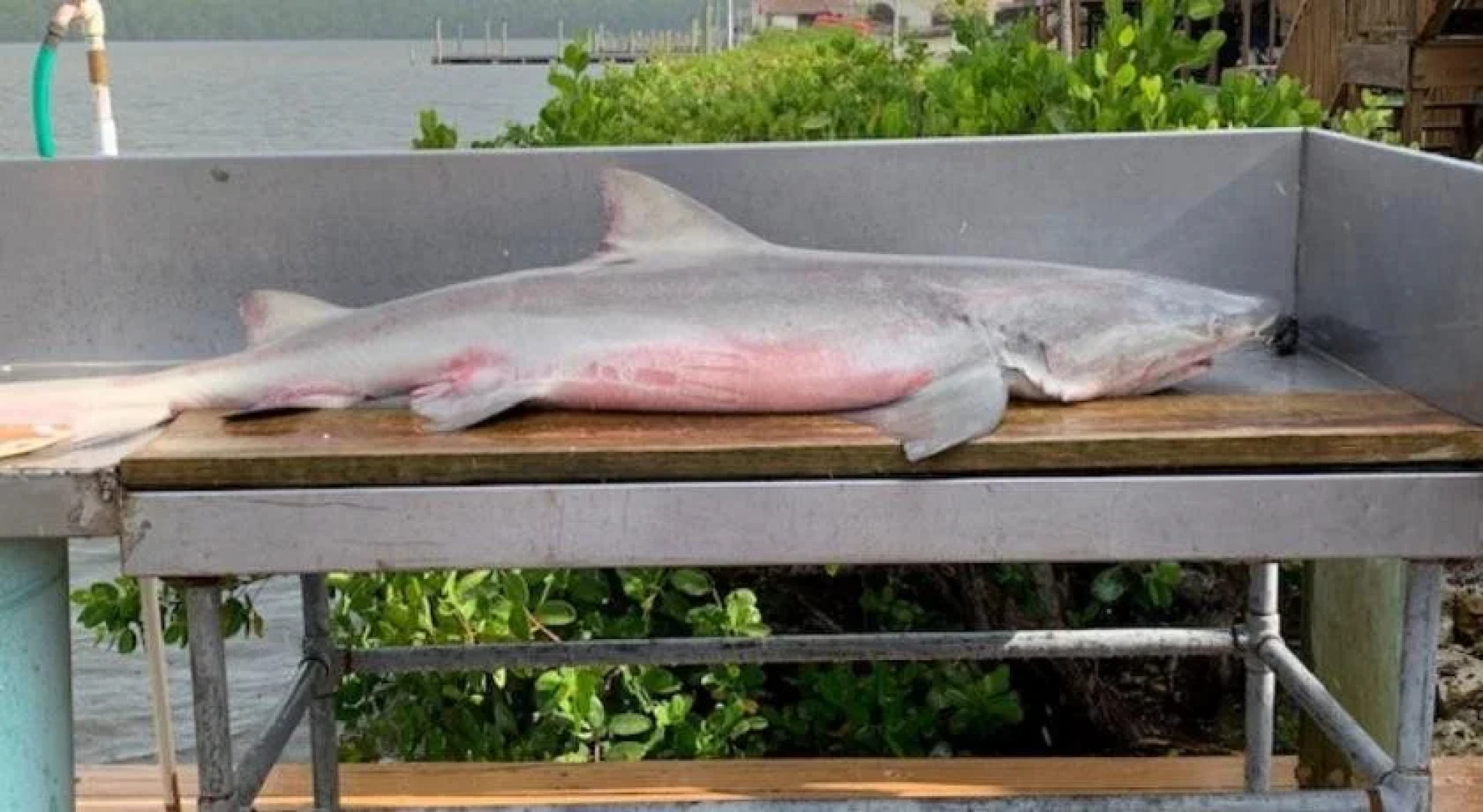 River Wilderness Waterfront Villas