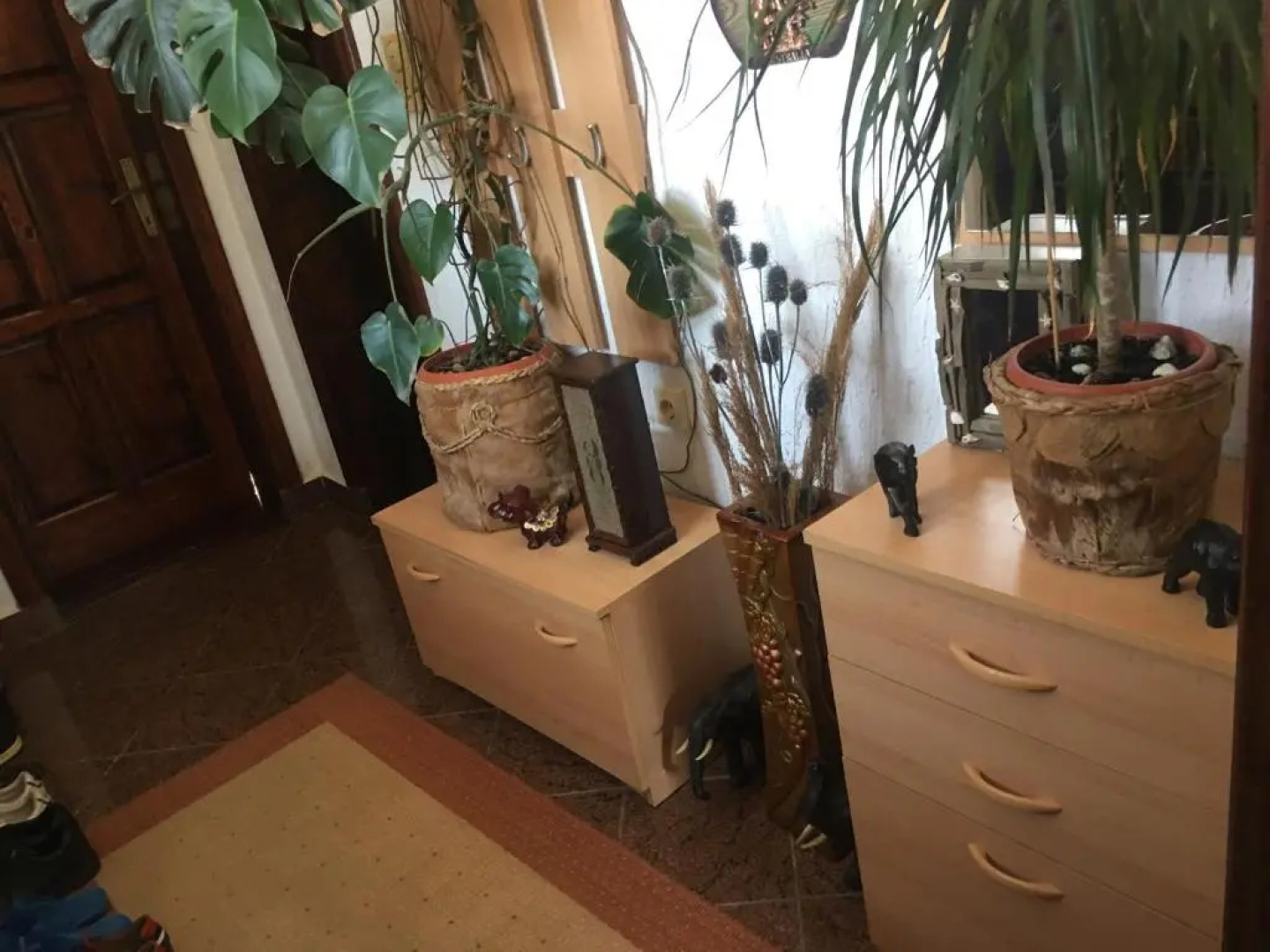 Apartmani Miljana