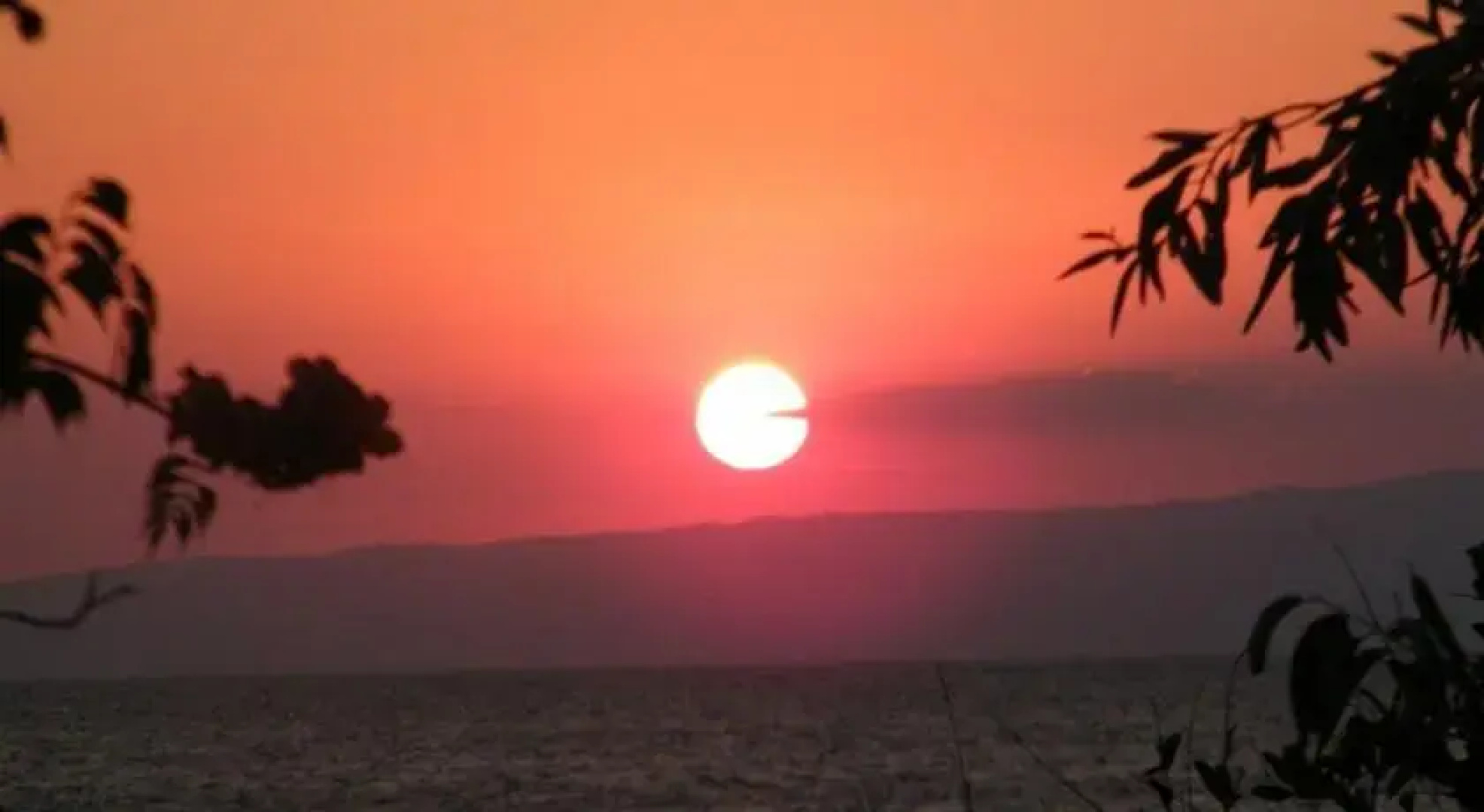 Gunes Yali