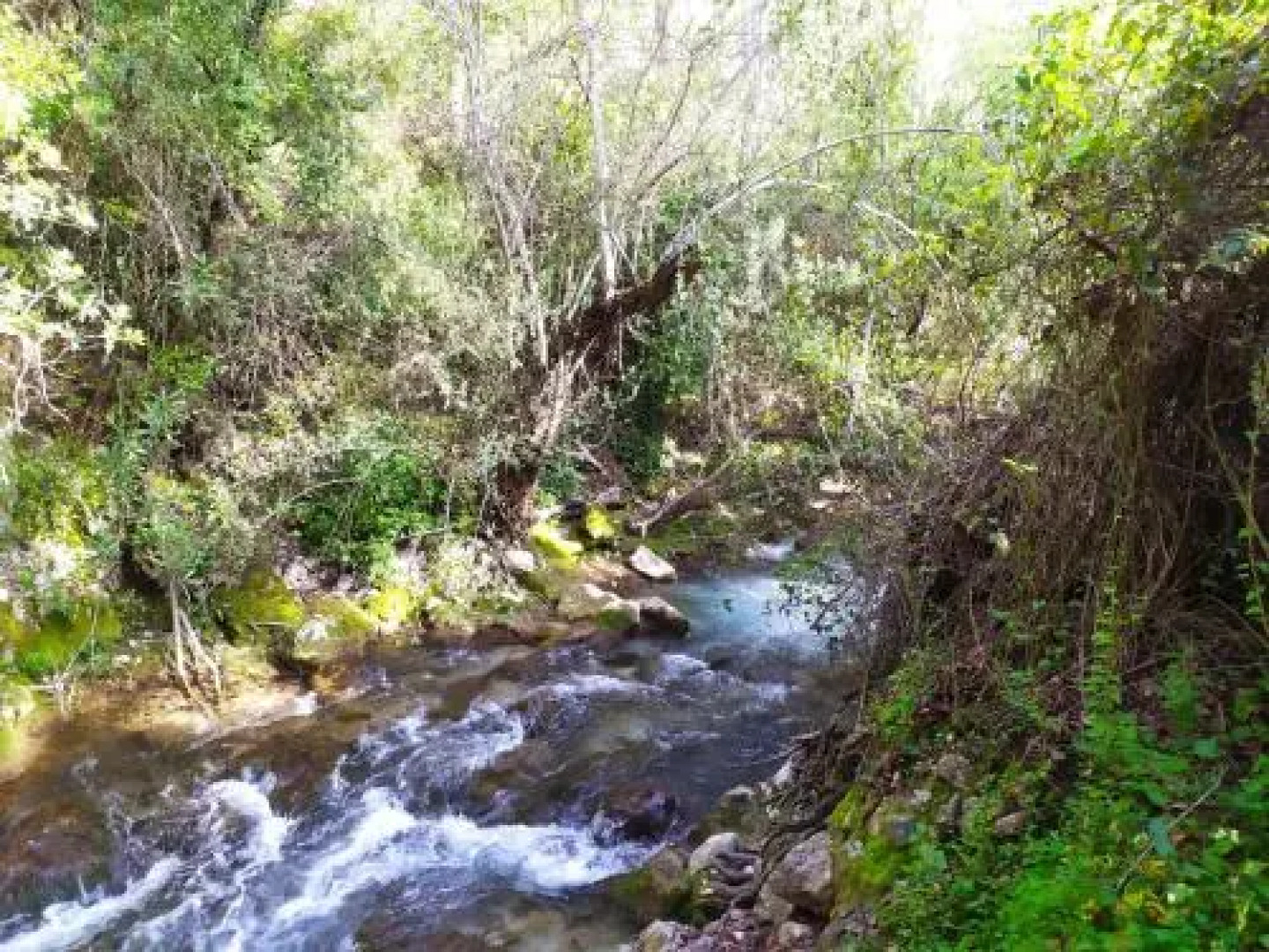 Apartamento en Bahia de Plata Zahara