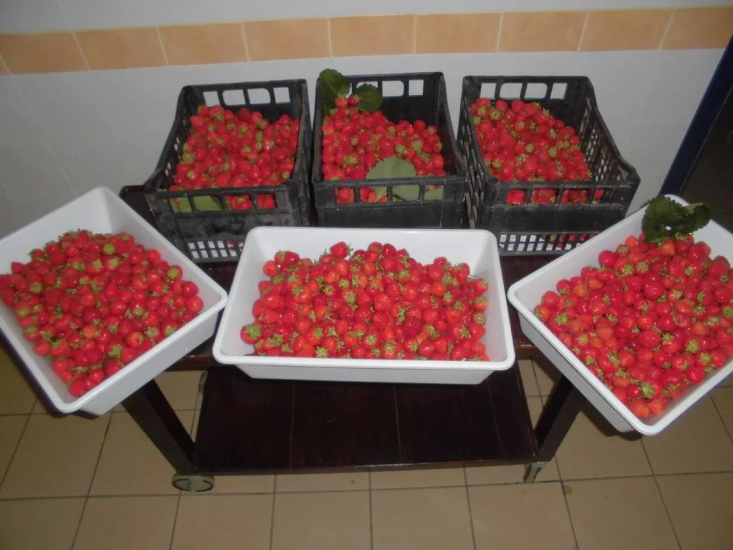Agriturismo Sant’Isidoro