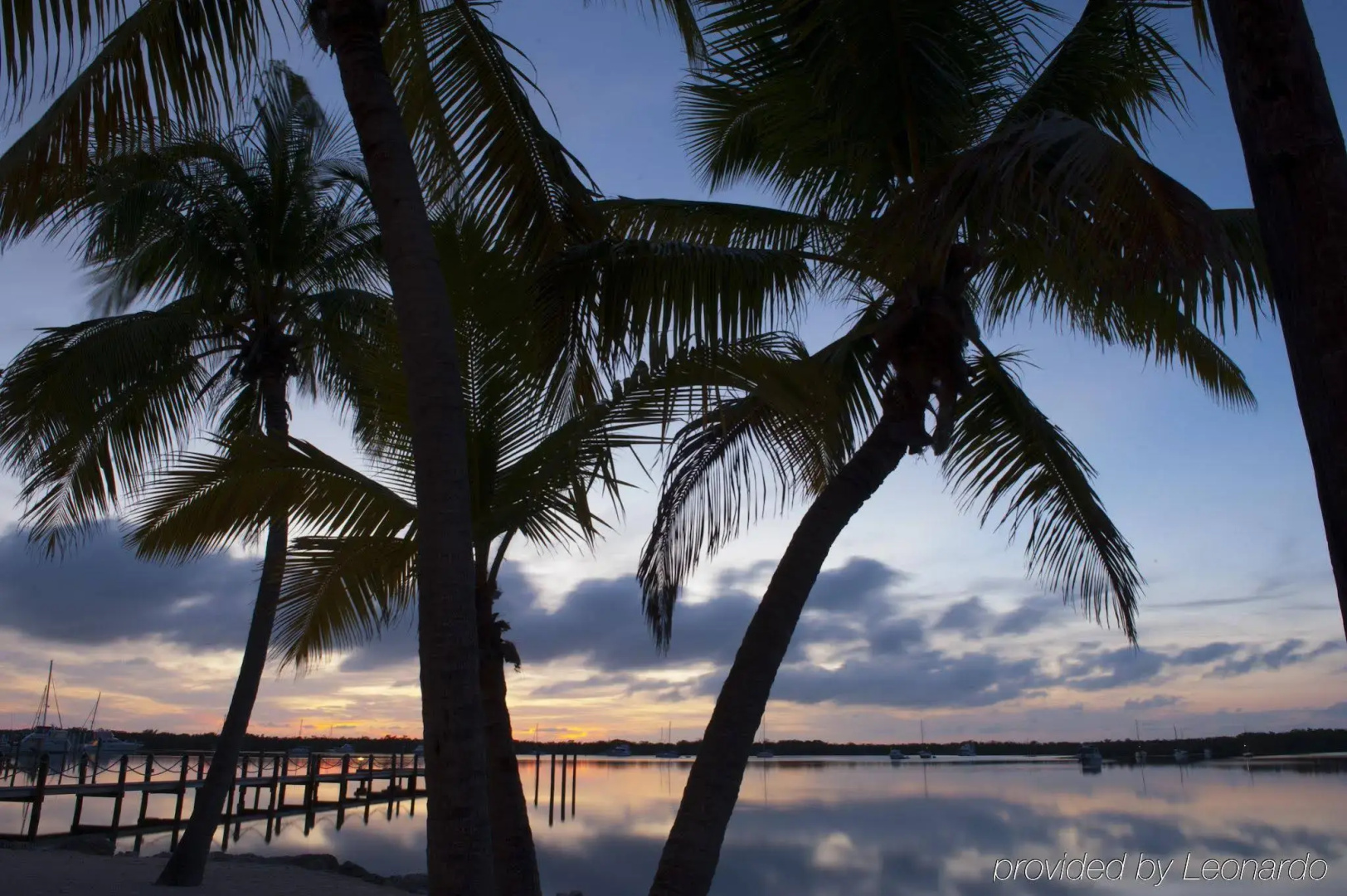 Coconut Palm Inn